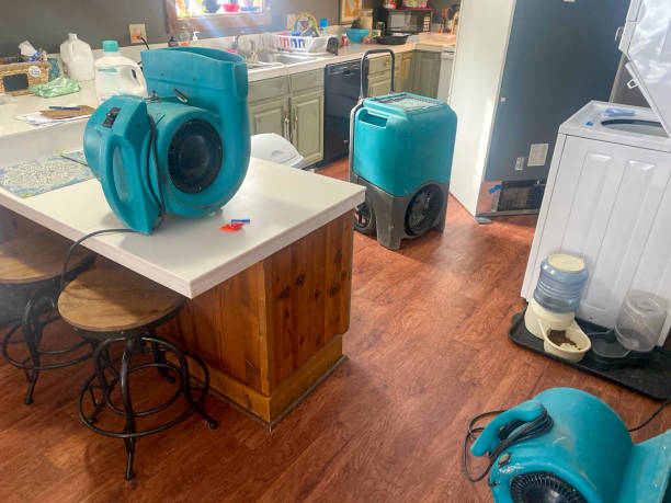  Blackwells Mills, NJ Water damage restoration Pros